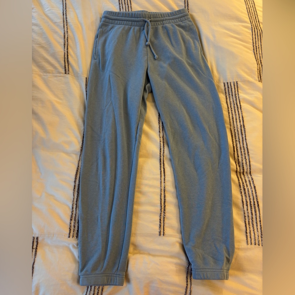 Aritzia Light Blue Jogger Pants